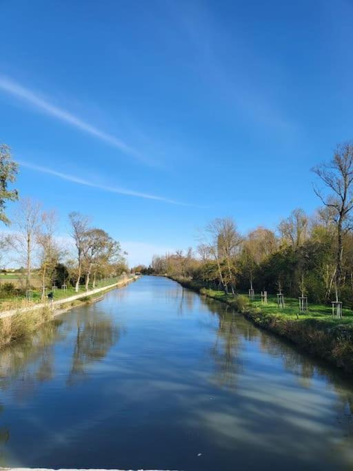 Hebergement - Canal Du Midi Saint-Martin-Lalande Buitenkant foto